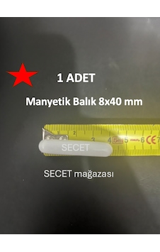 Manyetik Balık 8x40 Mm - Boy:40 Mm - Çap:8 Mm - 1 Adet
