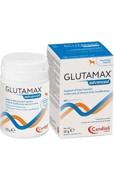 Candioli Glutamax Advanced Köpek Karaciğer Sağlığı Besin Takviyesi 20 Tablet Candioli Glutamax Advanced Köpek Karaciğer Sağlığı Besin Takviyesi 20 Tablet