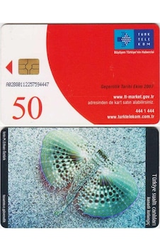 Kanatlı Kırlangıç Çipli Telefon Kartı 50 Kontör Türk Telekom. Kanatlı Kırlangıç Çipli Telefon Kartı 50 Kontör Türk Telekom.