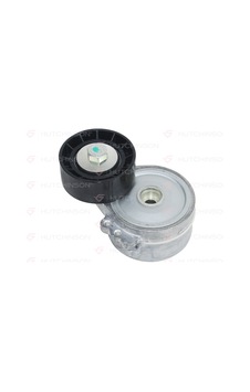 Hutchinson Alternatör Gergi Rulmanı Kütüklü Partner-206-306-307-boxer-berlingo-jumpy-jumper 1.9d-2.0d Hutchınson T0216 1613840080-5751.74-9636782780