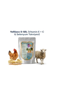 Kuş Ve Kanatlılar İçin Vitamin Takviyesi Yılsac E-sel+ C 100 Gr X 1 Adet Kuş Ve Kanatlılar İçin Vitamin Takviyesi Yılsac E-sel+ C 100 Gr X 1 Adet