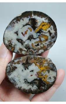 Plume Black Sea Agate Beyaz, Derin Kahverengi Ve Altın Turuncu Agate Plume Black Sea Agate Beyaz, Derin Kahverengi Ve Altın Turuncu Agate