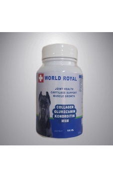 Collagen Glukozamin Kondroitin Msm 100 ML