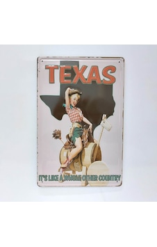 Cajuart Texas Temalı Retro 20x30 Cm Metal Plaka Duvar Dekor