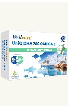 Wellcare Omega 3 Balık Yağı 750 Mg 30 Kapsül Wellcare Omega 3 Balık Yağı 750 Mg 30 Kapsül