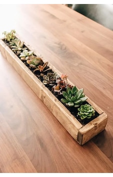 Ahşap Saksı Uzun Ince Long Tree Natural Ahşap Saksı Uzun Ince Long Tree Natural