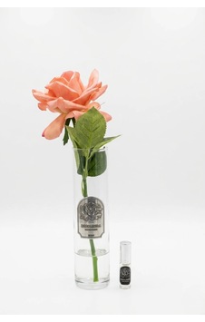 Tekli Gül İnce Vazo Silver Diğer Tekli Gül İnce Vazo Silver Diğer