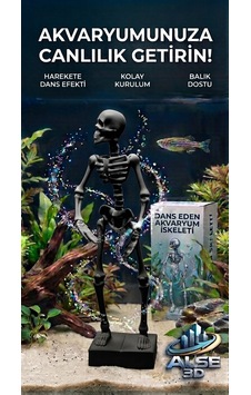 Alse Dans Eden Akvaryum İskeleti 2'li Set - Akvaryumunuzda İkili Eğlence Siyah Alse Dans Eden Akvaryum İskeleti 2'li Set - Akvaryumunuzda İkili Eğlence Siyah