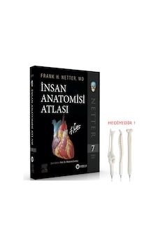 Netter İnsan Anatomisi Atlası 7. Baskı (Resmi Yayıncısı)