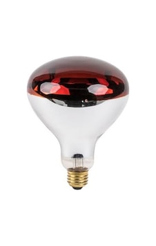 250w Infrared Isıtıcı E27 Ampul 250w Infrared Isıtıcı E27 Ampul