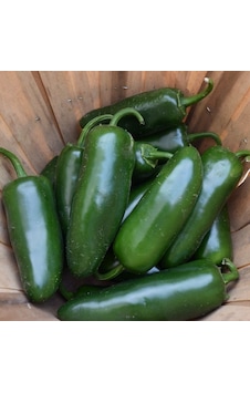 Doğal Çok Acı Jalapeno Biber Tohumu 20Adet Doğal Çok Acı Jalapeno Biber Tohumu 20Adet