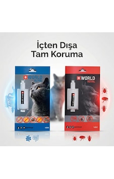 Kedi Dış Parazit