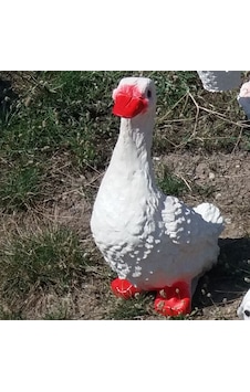 M3 M3Decorium Ördek Kaz Iç Dış Mekan 40Cm Oda Masa Çim Bahçe Heykeli Beyaz - Venge M3 M3Decorium Ördek Kaz Iç Dış Mekan 40Cm Oda Masa Çim Bahçe Heykeli Beyaz - Venge