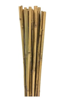 Gardener 63717 Bambu Destek Çubuğu 10'Lu 12-14 Mm X 150 Cm Gardener 63717 Bambu Destek Çubuğu 10'Lu 12-14 Mm X 150 Cm