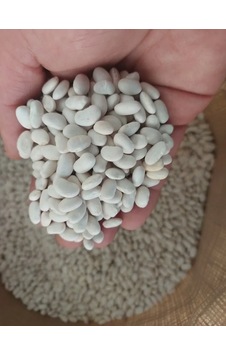 Köy Mahsulu Yerli Kuru Fasülye 1 Kg