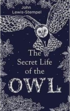 The Secret Life Of The Owl 9780857524560 The Secret Life Of The Owl 9780857524560