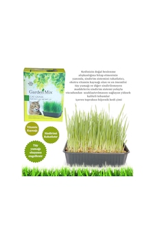 Gardenmix - 224 - - Novapazr - Kedi Çimi Gardenmix - 224 - - Novapazr - Kedi Çimi