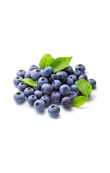 Tüplü Yaban Mersini likapa.blueberry.maviyemiş Fidanı Tüplü Yaban Mersini likapa.blueberry.maviyemiş Fidanı