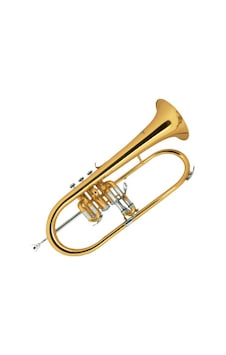Jinbao Flugelhorn Trompet Jbfh-1150l Jinbao Flugelhorn Trompet Jbfh-1150l