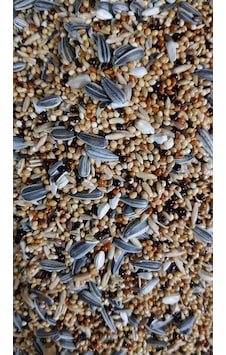Cennet Sultan Papağanı Yemi 5 KG