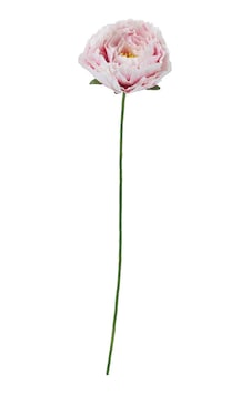 Yapay Çiçek, Beyaz-açık Pembe, 50 Cm, Şakayık Yapay Çiçek, Beyaz-açık Pembe, 50 Cm, Şakayık