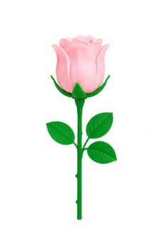 Gül Hiç Solmayacak Çiçekleriniz Olsun Açık Pembe Gül Hiç Solmayacak Çiçekleriniz Olsun Açık Pembe