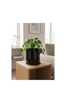 Romeo Seramik Saksı Parlak Siyah Tabaklı Çap:18cm Yükseklik:18cm Romeo Seramik Saksı Parlak Siyah Tabaklı Çap:18cm Yükseklik:18cm
