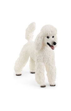Schleich Kaniş 13917