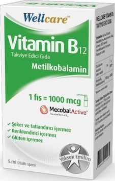 Wellcare Vitamin B12 Sprey 5 Ml Wellcare Vitamin B12 Sprey 5 Ml