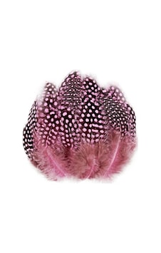 100 Pcs Decor Pink Bırd Feather 100 Adet Puantiyeli Pembe Siyah Kuş Tüyü Dekor Pembe Kuş Tüyü