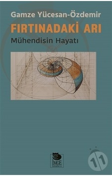 Fırtınadaki Arı; Mühendisin Hayatı