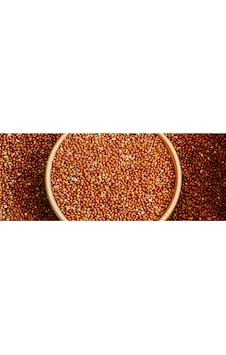 Yeni Yavru İçin Kızıl Dal Darı Taneleri Elenmiş 1 KG Yeni Yavru İçin Kızıl Dal Darı Taneleri Elenmiş 1 KG