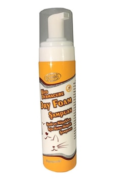 Biyoteknik Dry Foam Şampuan 250 ML
