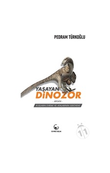 Yaşayan Dinozor - Avian - Pedram Türkoğlu