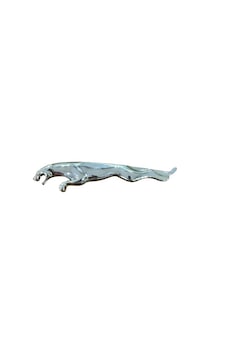 Jaguar Arma Büyük Jaguar Arma Büyük