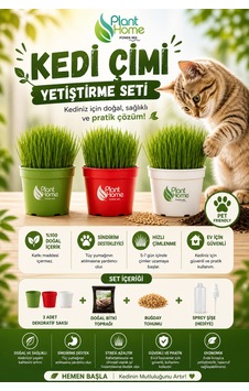Kedi Çimi Yetiştirme Seti Doğal, Sağlıklı Ve Pratik Evde Kedi Çimi Kit Plant Home Kedi Çimi Yetiştirme Seti Doğal, Sağlıklı Ve Pratik Evde Kedi Çimi Kit Plant Home