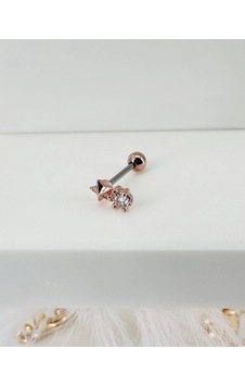 Rose Zirkon Taşlı Uç Kısmı: Pirinç Kıkırdak Bar Uzunluğu: 6 Mm / Bar Kalınlığı 0.8 Mm / Top Boyu 3 Mm - Pt0009-2 Çok renkli Rose Zirkon Taşlı Uç Kısmı: Pirinç Kıkırdak Bar Uzunluğu: 6 Mm / Bar Kalınlığı 0.8 Mm / Top Boyu 3 Mm - Pt0009-2 Çok renkli