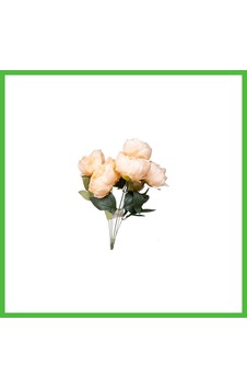Vaveni Ogc-0033 Sakayık 7 Lı Arz Çok Renkli Vaveni Ogc-0033 Sakayık 7 Lı Arz Çok Renkli