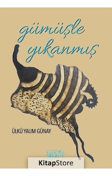 Gümüşle Yıkanmış - Yalım Günay - Bence Kitap Gümüşle Yıkanmış - Yalım Günay - Bence Kitap