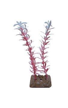 Akvaryum Yapay Bitki Süsü Kedi Tırnağı Pembe Beyaz 14 Cm Akvaryum Yapay Bitki Süsü Kedi Tırnağı Pembe Beyaz 14 Cm