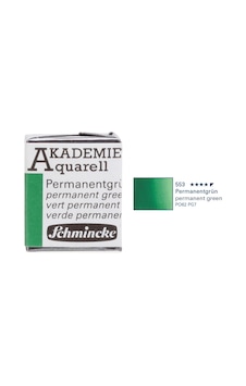 Schmincke Akademie Aquarell Suluboya 1/2 Tablet Permanent Green Schmincke Akademie Aquarell Suluboya 1/2 Tablet Permanent Green