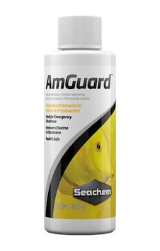 Seachem Amguard 100 ML - Amonyak Giderici