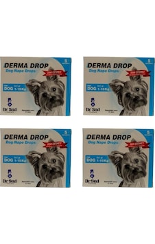 Dr Sed Pharma Derma 1-10 kg Köpek Dış Parazit Damla 4 Kutu
