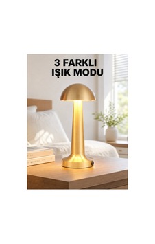 Şarjlı Dimmerli Led Masa Lambası 4-8 Saat Aydınlatma Yeni Nesil - Hs08374138-7957 Renkli Renkli Şarjlı Dimmerli Led Masa Lambası 4-8 Saat Aydınlatma Yeni Nesil - Hs08374138-7957 Renkli Renkli