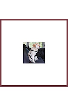 Storeşahin Köpek Emniyet Kemeri Medium 50-70 Cm Shn0720 Storeşahin Köpek Emniyet Kemeri Medium 50-70 Cm Shn0720