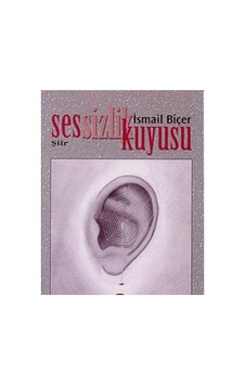 Sessizlik Kuyusu - İsmail Biçer