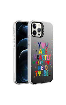 Apple Uyumlu iPhone 12 Pro Max Kılıf Desenli Zore Silver Sert Kapak-Çiçek Apple Uyumlu iPhone 12 Pro Max Kılıf Desenli Zore Silver Sert Kapak-Çiçek