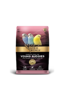 Gold Wings Premium Yavru Muhabbet Yemi 1Kg Gold Wings Premium Yavru Muhabbet Yemi 1Kg