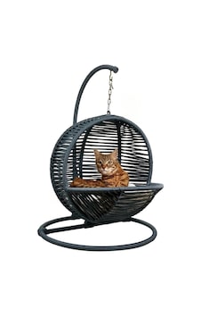 Kedi Salıncağı & Kedi Yatağı Sabitleme Aparatlı Kedi Salıncağı & Kedi Yatağı Sabitleme Aparatlı