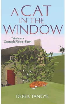 A Cat İn The Window: Tales From A Cornish Flower Farm A Cat İn The Window: Tales From A Cornish Flower Farm